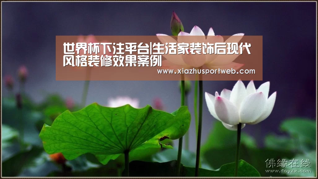 世界杯下注平台