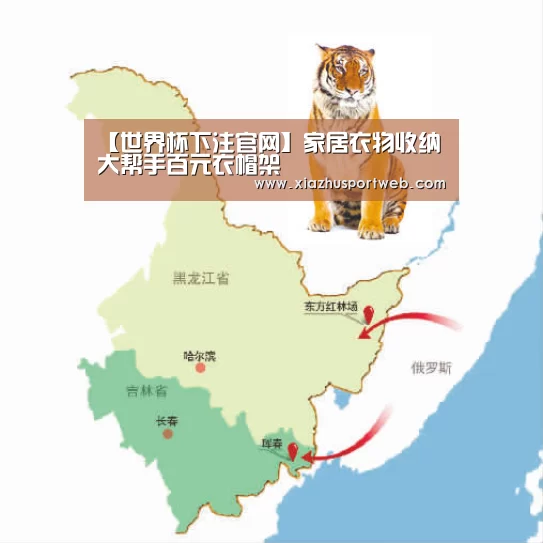 世界杯投注网
