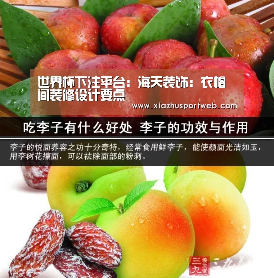 世界杯投注网